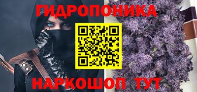 прущие грибы Среднеуральск