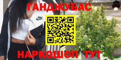 прущие грибы Среднеуральск