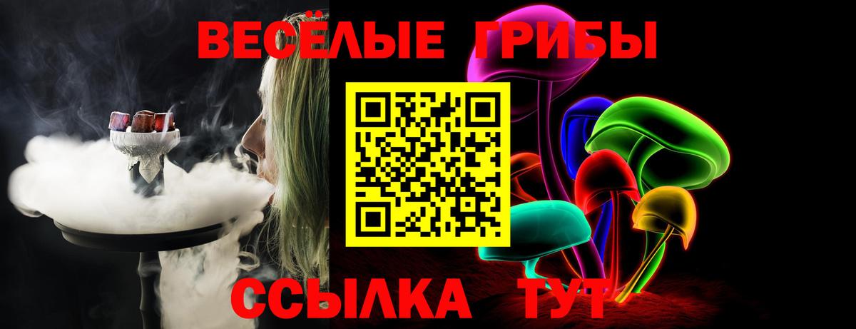 Кинешма  Псилоцибиновые грибы прущие грибы  Вход с VPN 